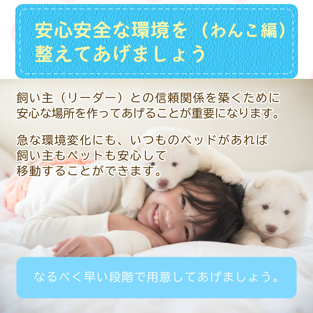 ペットベッド S クッション付 ペット パラダイス 耳付き イヌ用 ネコ用 コンパクト 柵 犬用 猫用 うさぎ 小動物 猫用 メッシュ 組立 あったか 快適 通気性 室内 リビング ハウス かわいい ソファー 誕生日 プレゼント 母の日