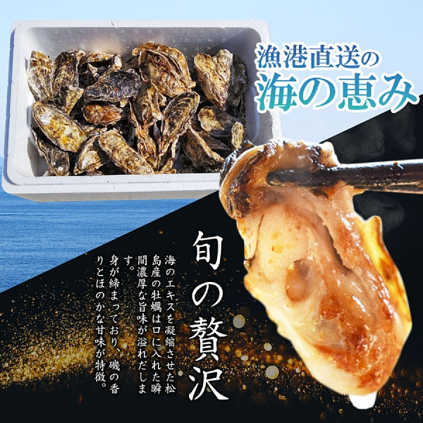デカい牡蠣 殻付き 牡蠣 3年牡蠣 3kg 冷凍便 送料無料!3キロ 宮城県産 殻付き牡蠣 殻付き 殻付 カキ 加熱用 松島牡蠣屋 無選別牡蠣 牡蛎 BBQ バーベキュー食材 海産物 牡蠣通販 「3年牡蠣 3kg」【80】