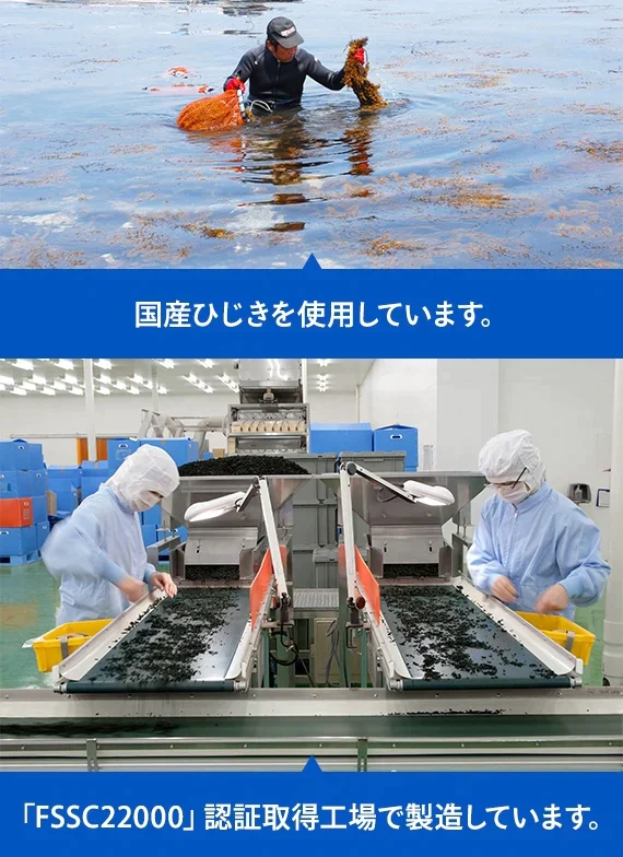 国産ひじき使用ひじき白和えの素
25g(豆腐半丁用)8袋セット【送料無料】