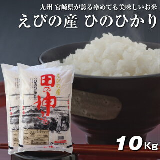 先着10購入限定・10%OFF】5kg×2袋【10kg】 新米 令和2年 九州