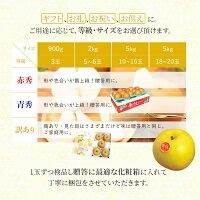 【9月上旬順次発送】送料無料 鳥取産 新甘泉 わけあり 20玉前後 約5キロ 家庭用
