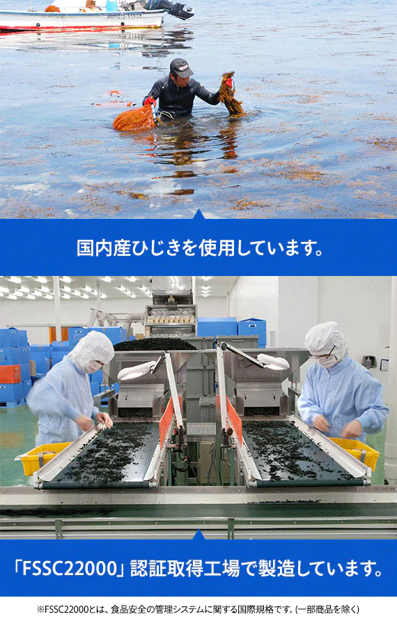 国内産ひじき使用
しそ風味ソフトひじきふりかけ
50g×5袋セット【送料無料】