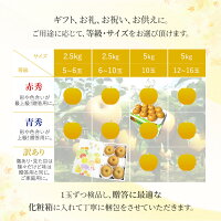 送料無料 熊本産 あきづき 2.5キロ 5-10玉入りサイズおまかせ
