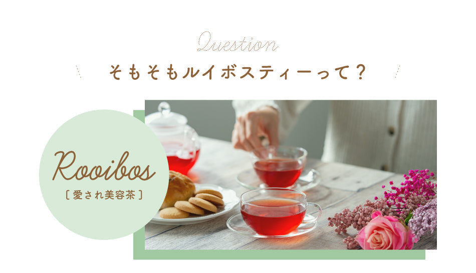 【ゲリラセール】ルイボスティー 101個入 ルイボス ルイボス茶 水出し ティーバッグ ハーブティー