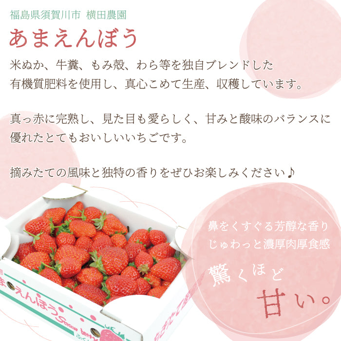 福島県産 いちご「甘園房~あまえんぼう」DX-03 1箱 2L (18粒入り×2パック)通常便*