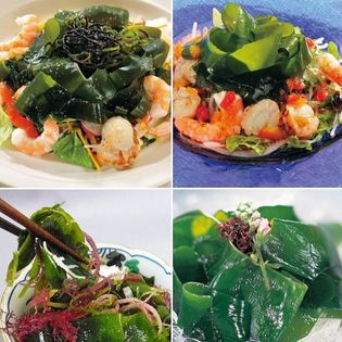 420g お刺身わかめ 生わかめ 大容量セット 生海鮮サラダ付き