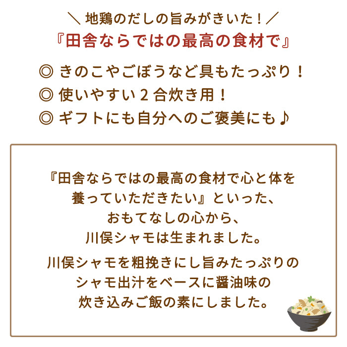 地鶏ごはんの素 2合用×2箱 *