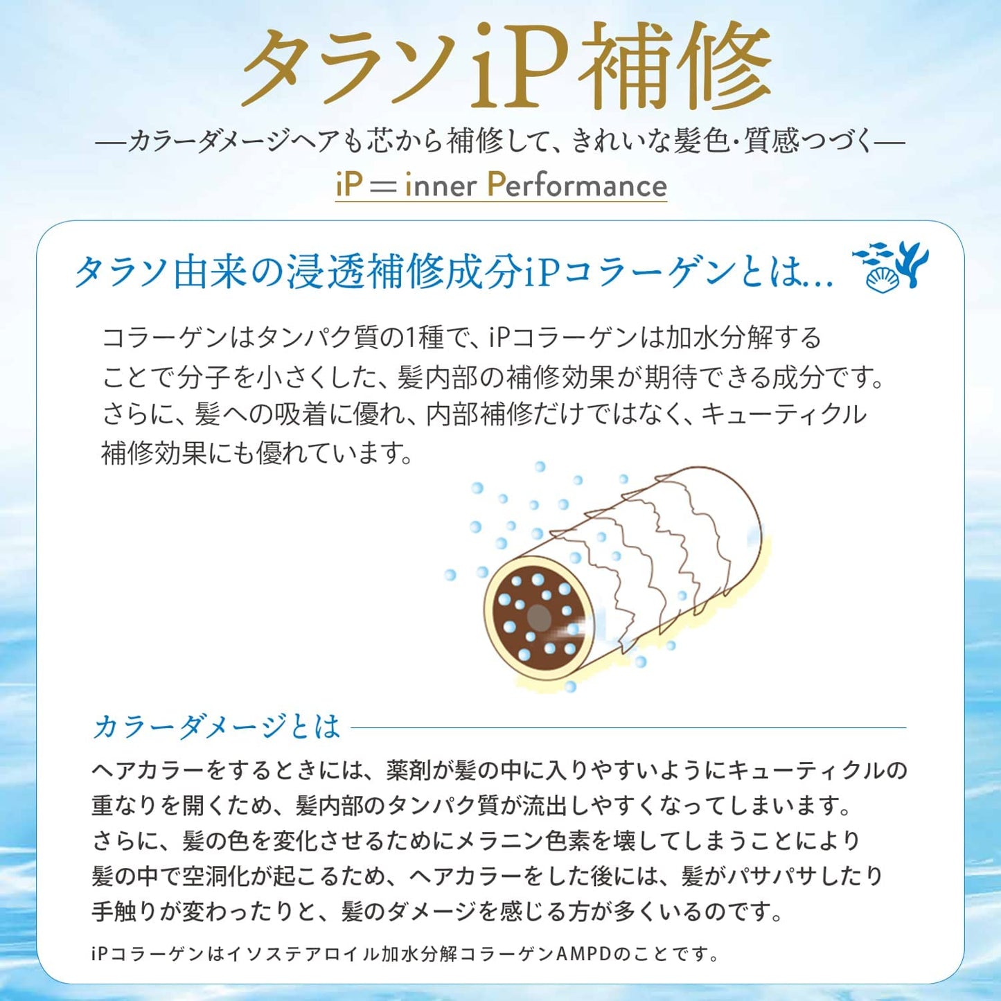 【おまけ付き!】KOSE ジュレーム iP タラソリペア 補修美容液 シャンプー (ディープモイスト) つめかえ340mL コーセー