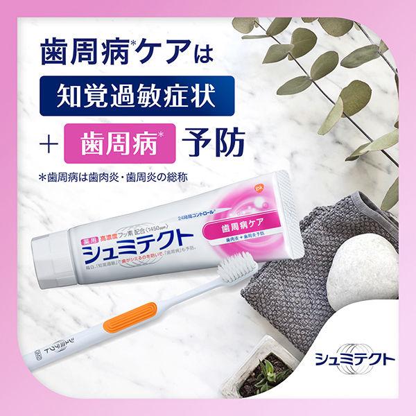 【10%増量品】薬用シュミテクト 歯周病ケア グラクソ・スミスクライン 歯磨き粉 シミるのを防ぐ、歯周病予防、ムシ歯予防