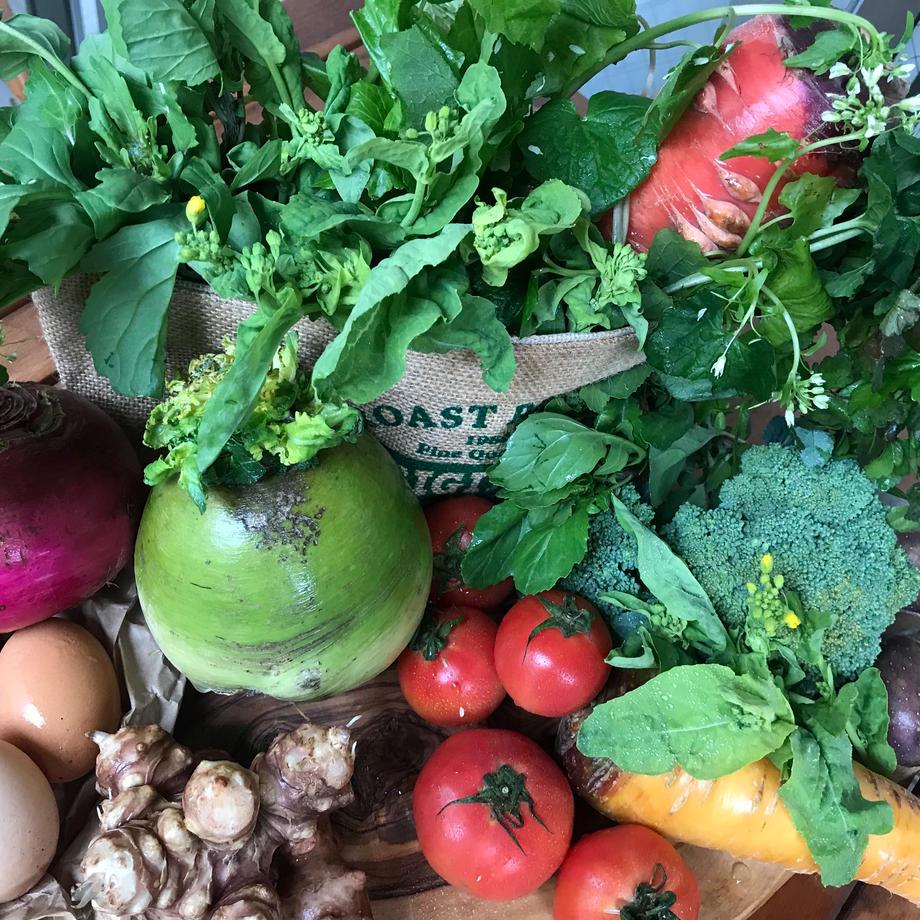 旬のお野菜セット8種類入り(Sサイズ)