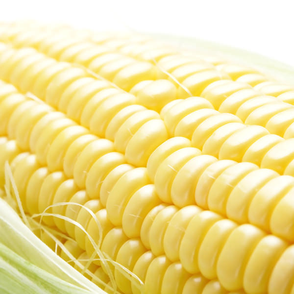 嶽きみ (だけきみ) 青森県産とうもろこし 恵味 2Lサイズ 20本