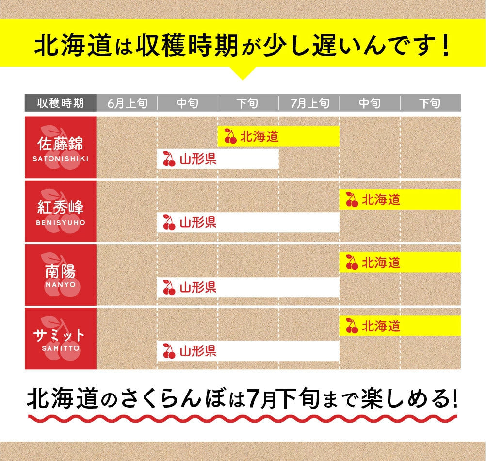 【7月中旬~下旬出荷】紅秀峰 さくらんぼ 800g 北海道 余市町 仁木町産