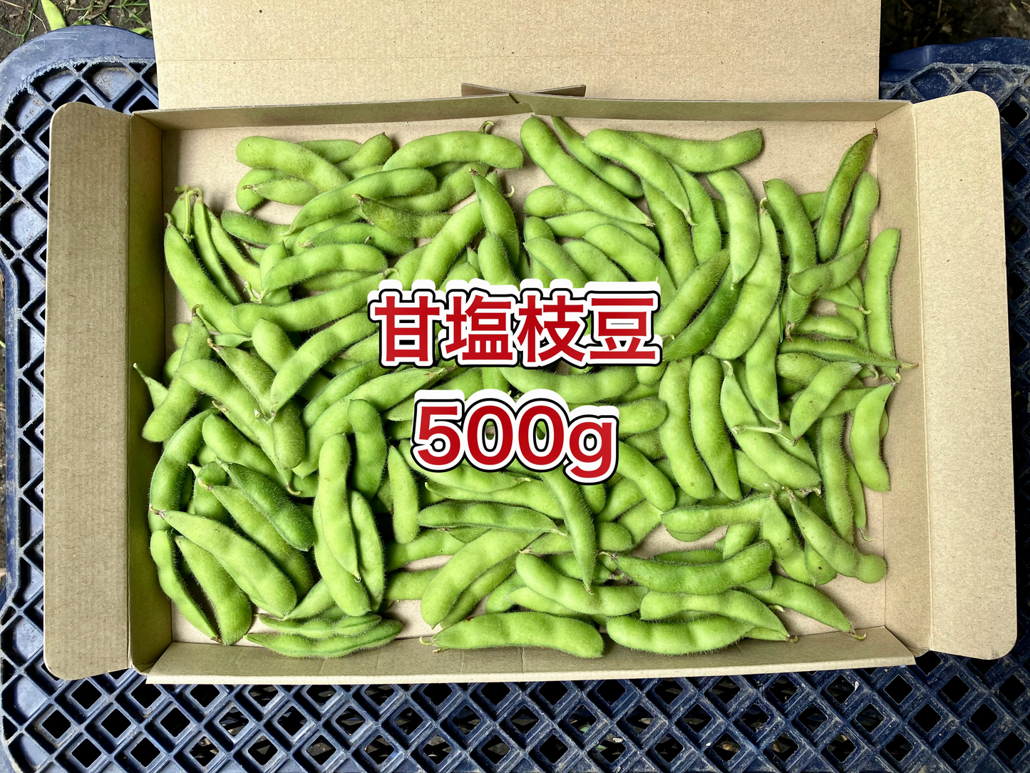 【鹿児島産】甘塩枝豆箱込み500g