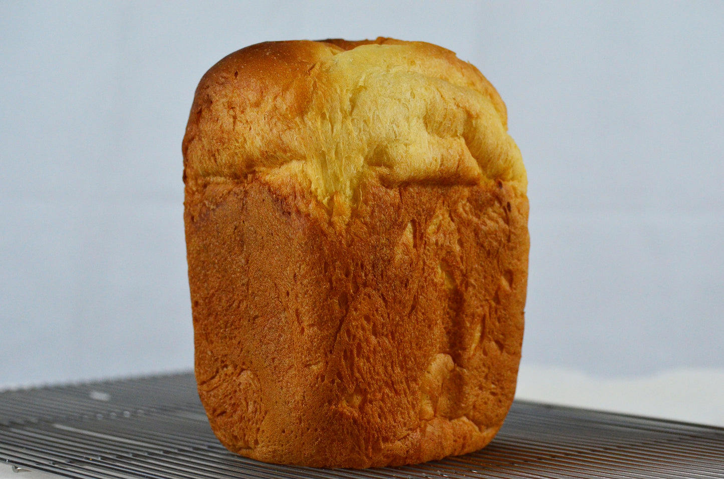 100%HOKKAIDO パン用粉 500g 送料無料 メール便 江別製粉 北海道 大人気 お土産 ギフト プレゼント 手作り 北海道産小麦 パン作り用粉