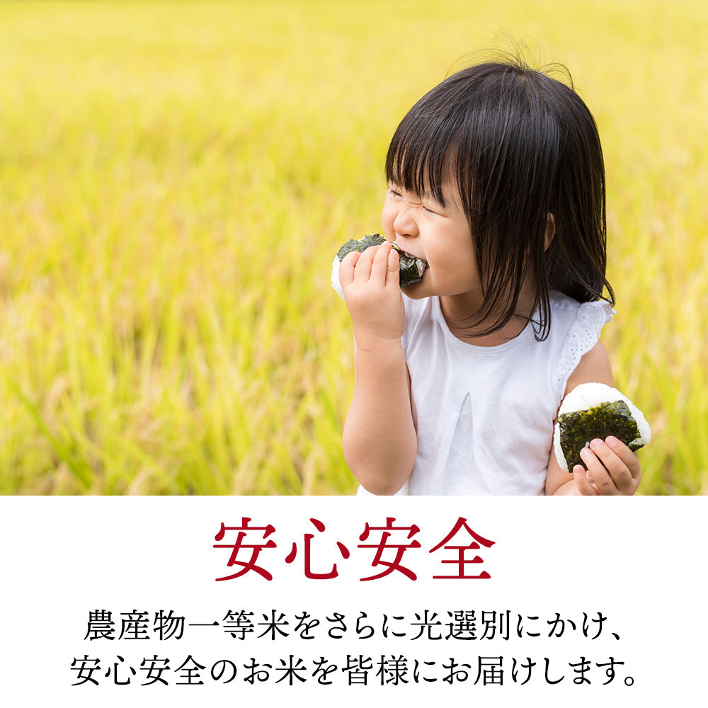 【30人シェア買いで20%OFF】雪若丸 10kg  令和3年 山形県産 送料無料【最安値に挑戦】