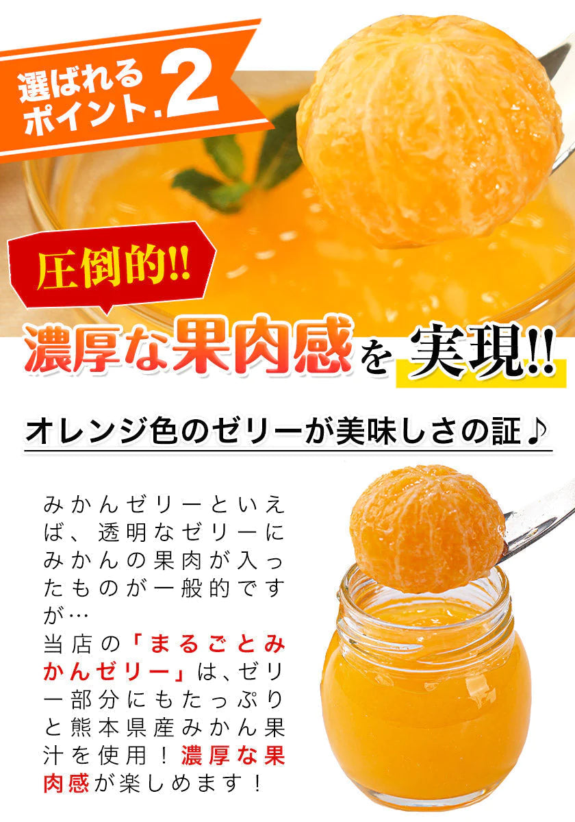 まるごと みかんゼリー フルーツギフト 熊本 小玉みかん 使用 ミカンゼリー 送料無料 果物 スイーツ セット おしゃれ かわいい《7-14営業日以内に発送予定(土日祝日除く)》