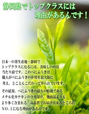 0.5g×50包×2袋 べにふうき茶 粉末スティック
