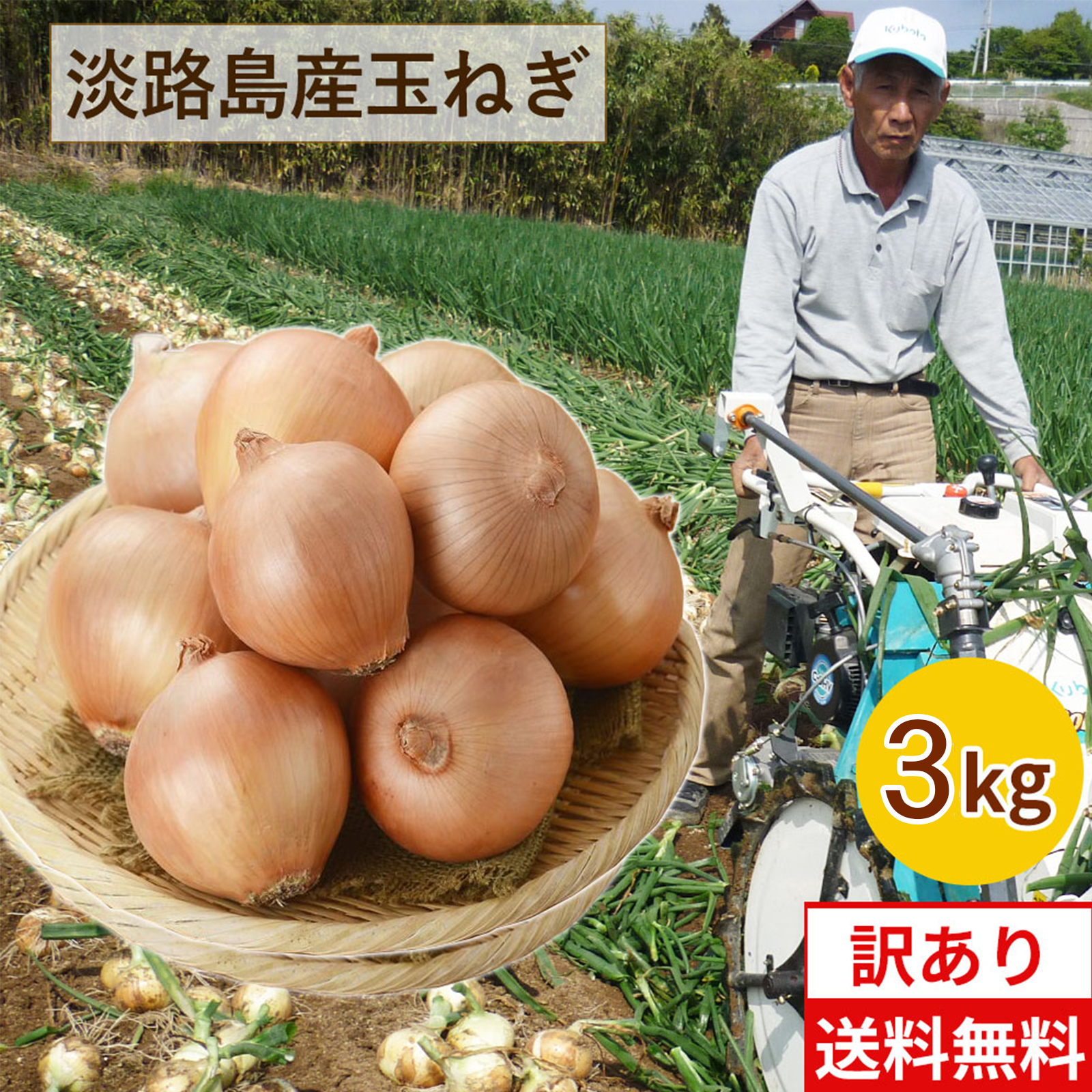 淡路島産 新玉ねぎ 3キロ - 野菜