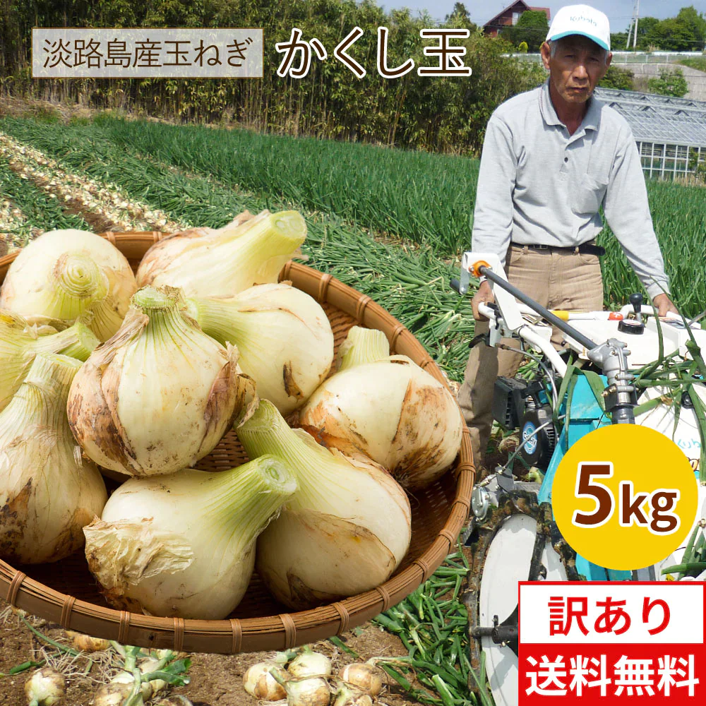 【ゲリラセール】淡路島新たまねぎかくし玉【訳あり】5kg #かくし玉訳あり5K#たまねぎ 淡路島 玉ねぎ 玉葱 新玉ねぎ