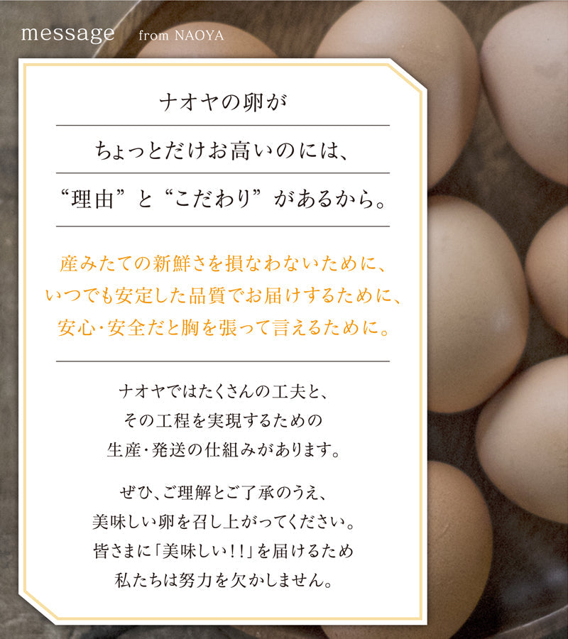 雲仙たまご10個×2