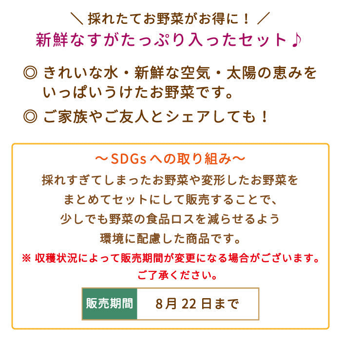 お得用 なす 約3kg (約50本入り) * (クール便)
