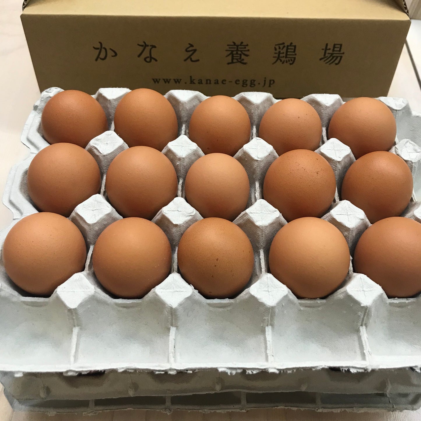 とれたて「金の桑卵」45個セット