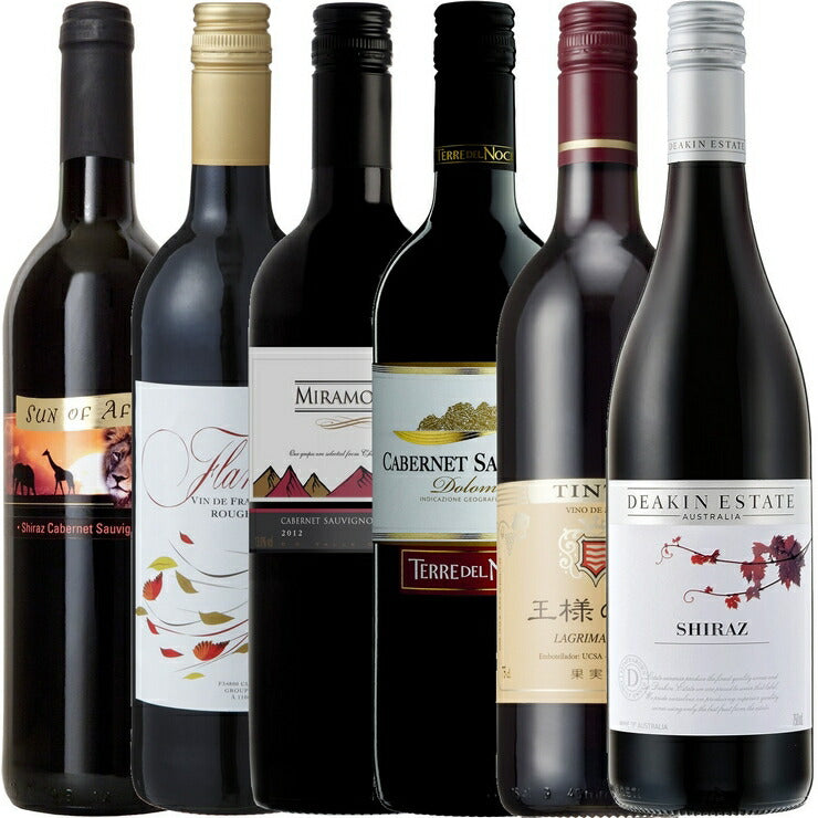 6カ国周遊 赤ワインセット 750ml×6本 辛口 ミディアムボディ スペイン チリ フランス イタリア オーストラリア 南アフリカ