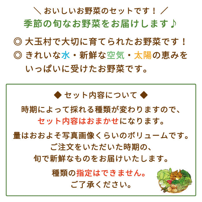 【10種以上保証】春のお野菜詰め合わせ あだたらの里直売所 * (クール便)【特産品・ご当地特集】