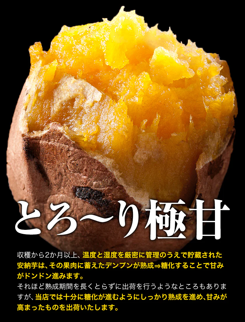 さつまいも 種子島産 訳あり 安納芋 1.5kg 送料無料 長期熟成 お菓子 薩摩芋 さつま芋 あんのういも サツマイモ (サイズ大中小不揃い)焼き芋《3-7営業日以内に発送予定(土日祝日除く)》