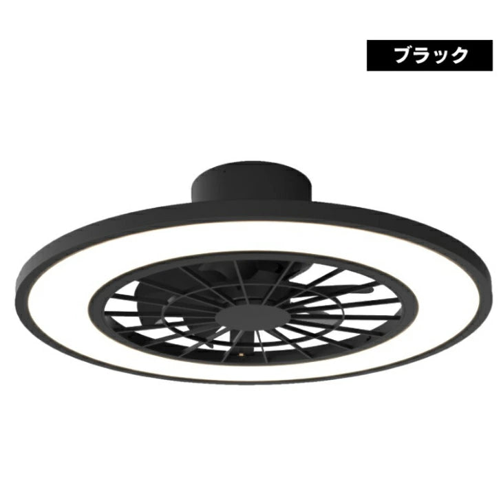 ヒロコーポレーション シーリングファンライト(~10畳用) HLCF-550BK(ブラック)