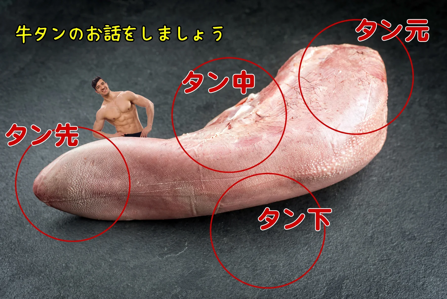 【肉の日】タン先 900g 牛タン 厚切り ブロック