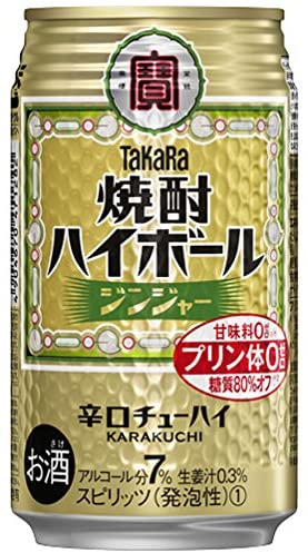宝 焼酎ハイボール 350ml×24缶 2ケース 48本 ジンジャー