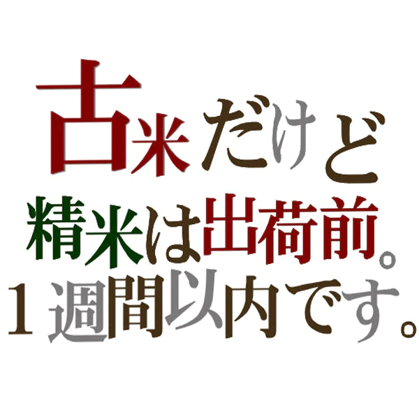 【920円引き】訳あり 在庫処分 令和3年大分県産ヒノヒカリ 10kg(5kg×2) 送料無料 10キロ 研ぐお米【お米シェア買い10tチャレンジ】