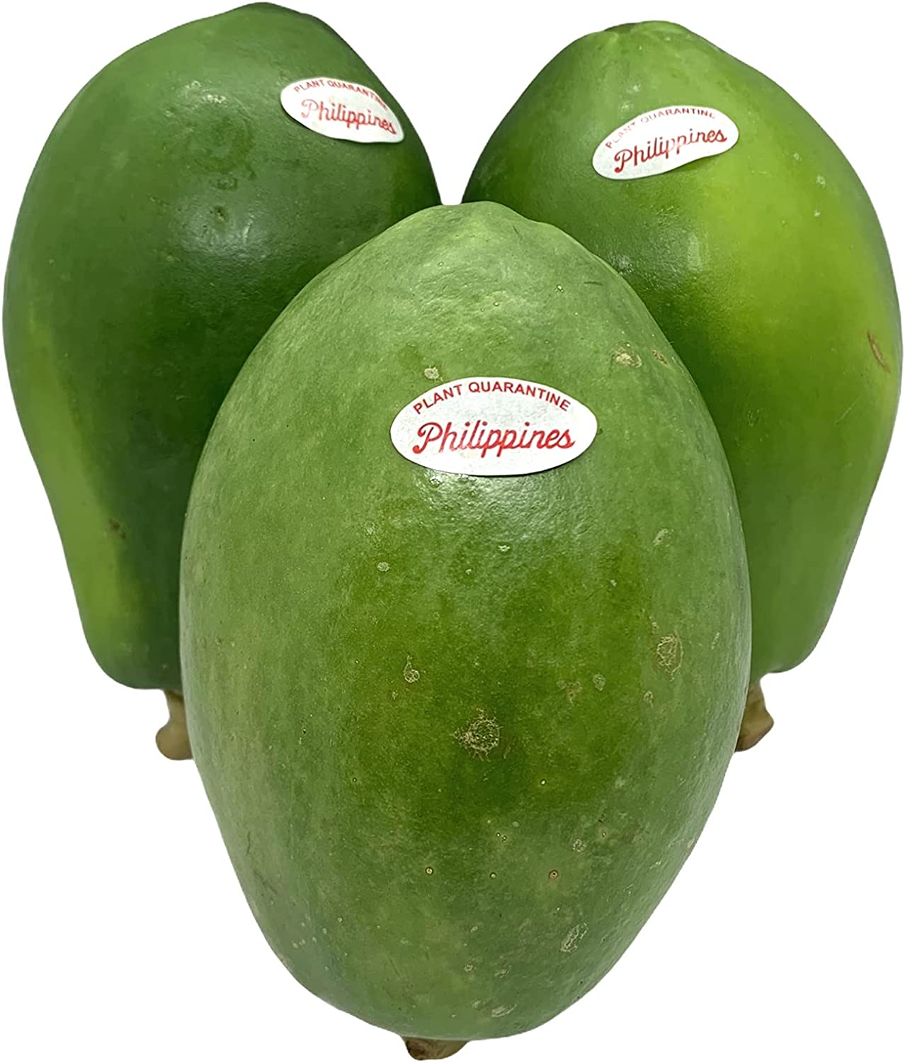 フィリピン産 グリーンパパイヤ 1.2-1.5Kg (2-3玉) DU DU XANH PHILIPPINES 1.2-1.5Kg (2-3qua)