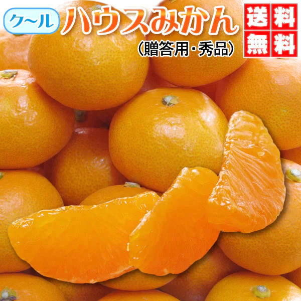 愛媛県ハウスみかん2.4㎏(贈答用)