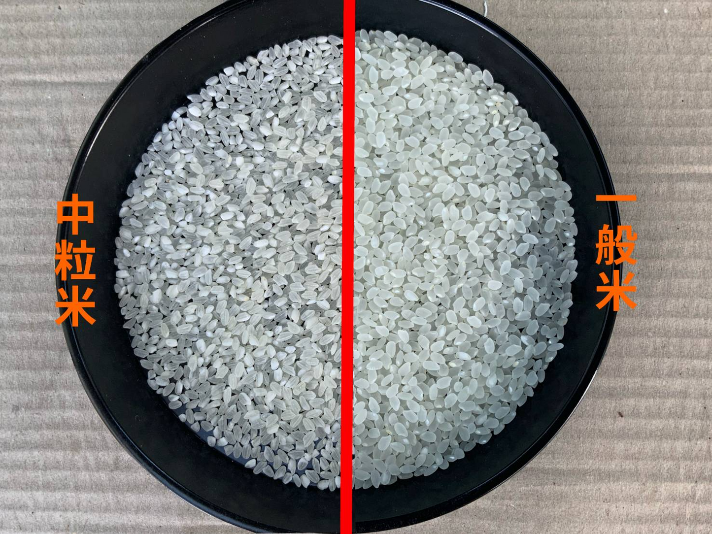 ブレンド国産米「当店自慢の つきたて米」白米20kg