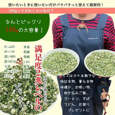 乾燥ネギ 100g チャック付き 何でも使いたいときに使いたいだけ メール便 送料無料