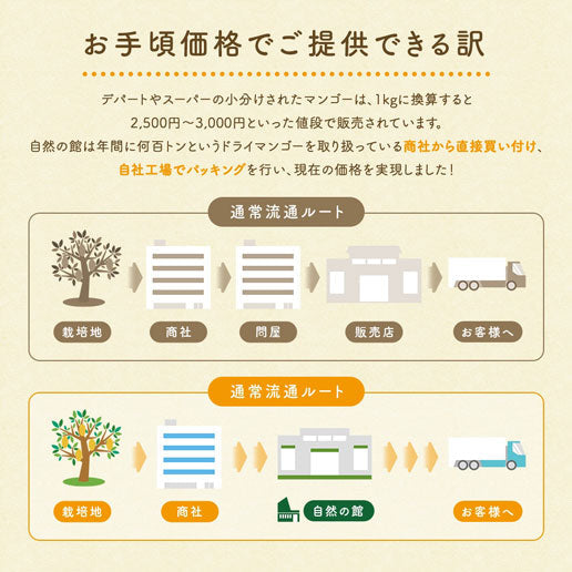 【3人シェア買いでお得】500g 半生ドライマンゴー ドライフルーツ 訳あり 不揃い セブ島 果実酢作りにおすすめ 送料無料