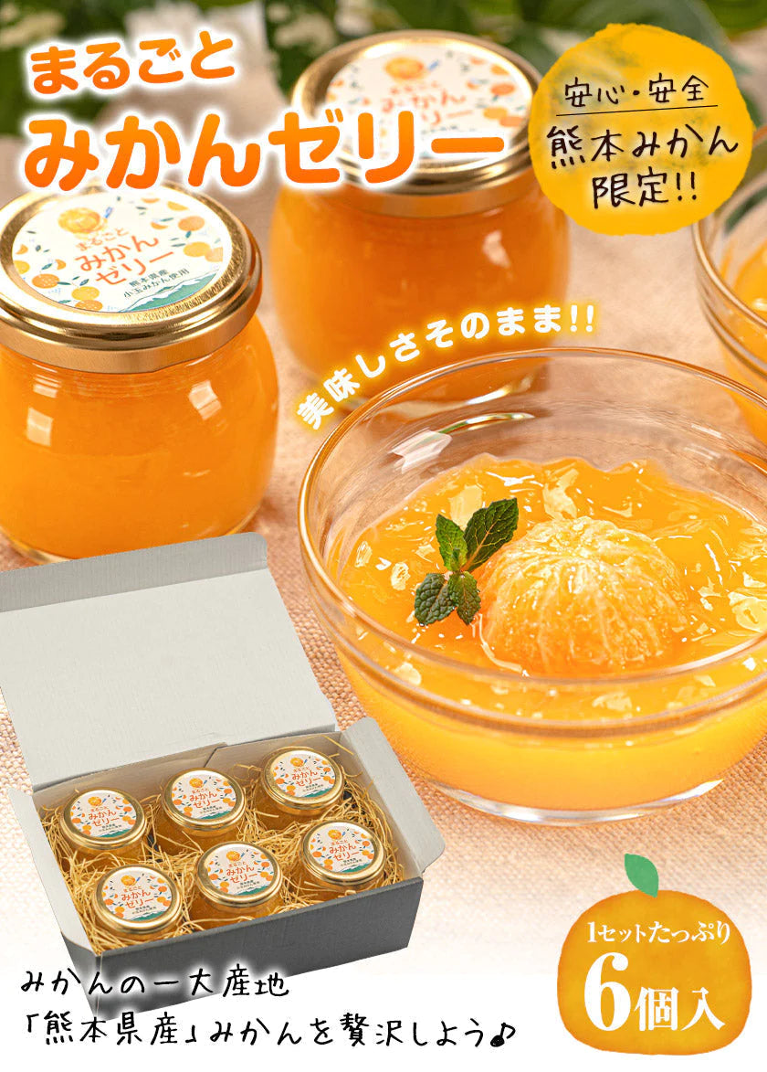 まるごと みかんゼリー フルーツギフト 熊本 小玉みかん 使用 ミカンゼリー 送料無料 果物 スイーツ セット おしゃれ かわいい《7-14営業日以内に発送予定(土日祝日除く)》