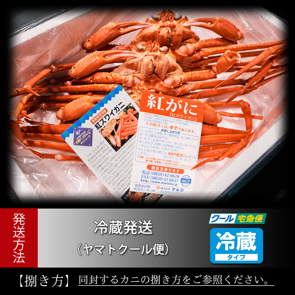 【鳥取県・境港産】【訳あり】紅ズワイガニ(中)【450g前後×5枚】【総重量2㎏】