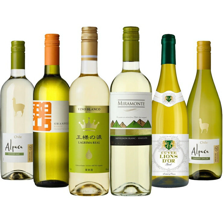 送料無料 毎日飲めるデイリー 辛口 白ワインセット 750ml×6本 チリ