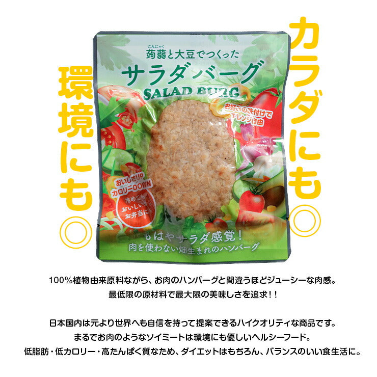 ビーガン(ヴィーガン)食品 大豆ミートハンバーグ サラダバーグ 90g×3