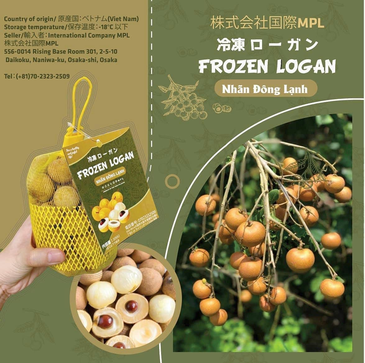 ベトナム産 冷凍リュウガン 500g/袋 NHAN DONG LANH VIETNAM 500g/tui (500g)
