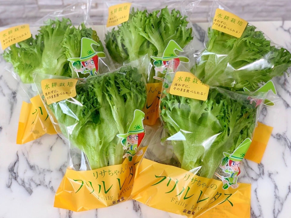 3~6品目 京都伏見産ワクワク水耕野菜セット