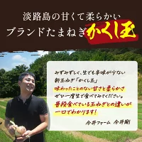 今井ファーム 淡路島 新玉ねぎ かくし玉 5K #かくし玉訳あり5K#