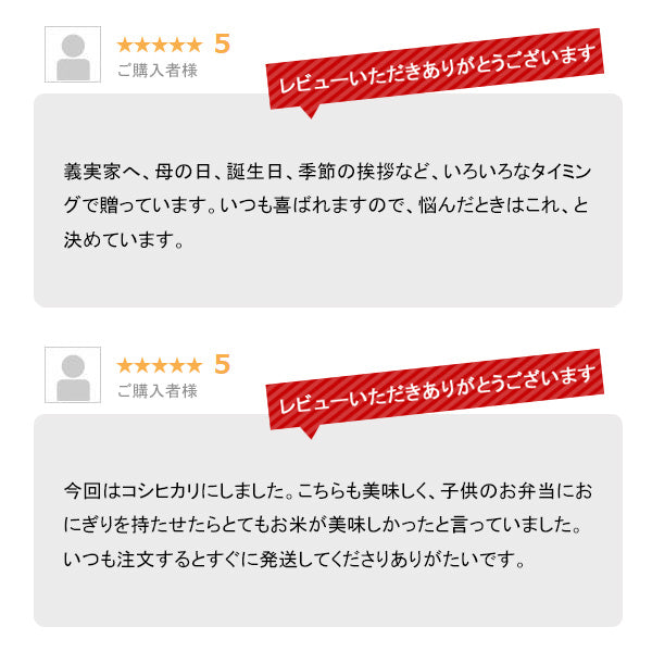 とれたて新米 10kg 新潟産コシヒカリ お米 令和4年産(本州:送料無料)