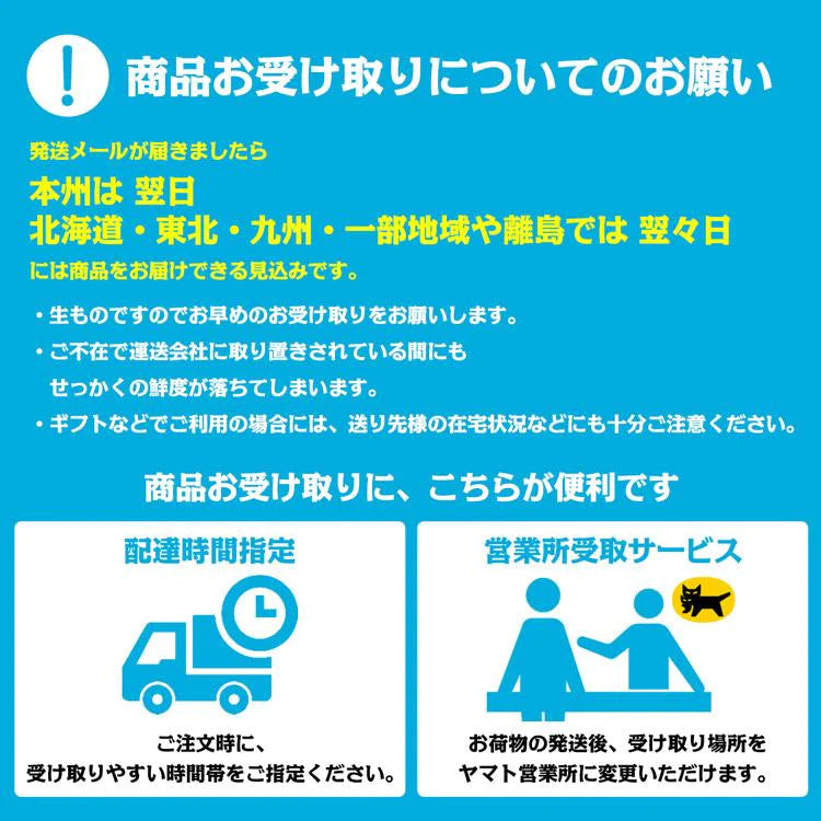 あまおう いちご 福岡 ご家庭用 G 2パック 約540g (1パック約270g×2) 博多あまおう グランデ イチゴ 苺 冷蔵便【フレッシュセール】