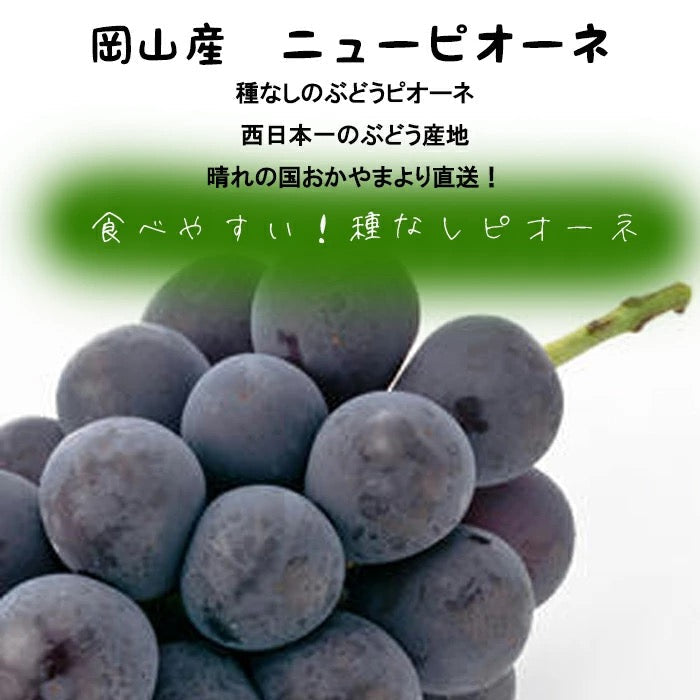 送料無料 岡山産 ピオーネ 赤秀 2房入り 800-900g ぶどう