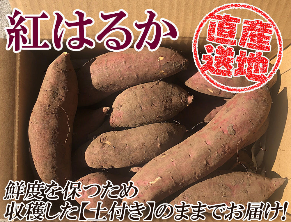【最安値挑戦祭】紅はるか さつまいも 5kg 送料無料 産地直送 産直 土付き さつま芋 薩摩芋 焼きいも 焼き芋 石焼き芋 芋 いも イモ 鹿児島県産 ngs-003