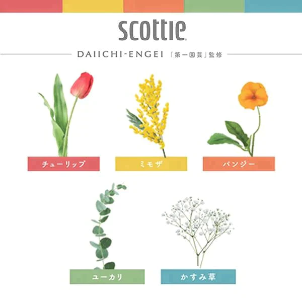 スコッティ (SCOTTIE) ティッシュペーパー フラワーボックス 320枚(160組)5箱×12パック(60箱)